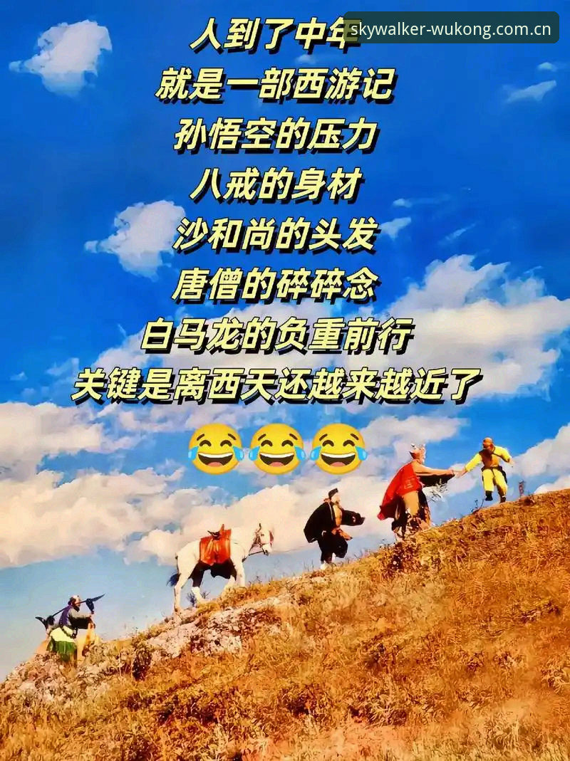 悟空体育评价实用指南：从功能体验到数据表现的全面分析